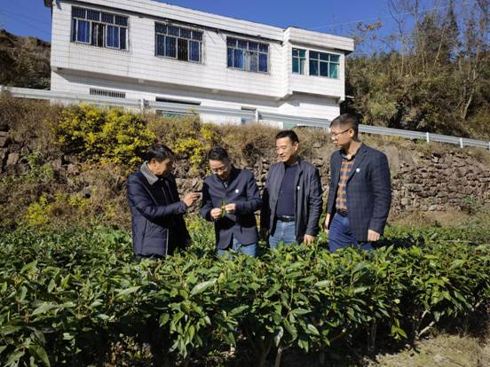 微信图片_20211125150746