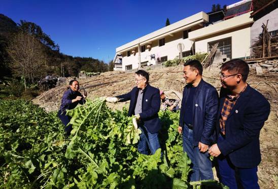 微信图片_20211125154608